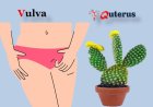 Can  eczema or  psoriasis cause  itching on the skin of the vulva?