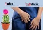 why does my vulva itch only at night?