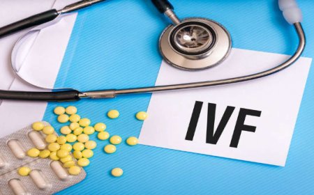 What Is In Vitro Fertilization (IVF)?