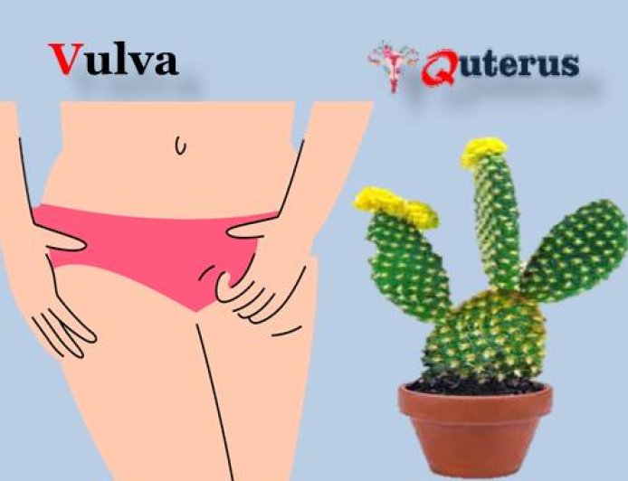 Can  eczema or  psoriasis cause  itching on the skin of the vulva?