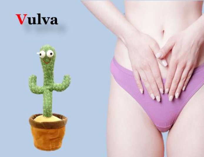 How to cure  itchy vulva at home?
