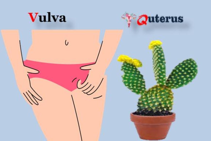 Can  eczema or  psoriasis cause  itching on the skin of the vulva?