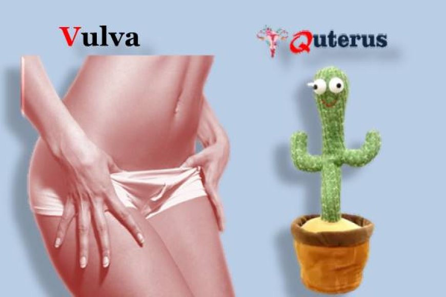 cure  itchy vulva at home