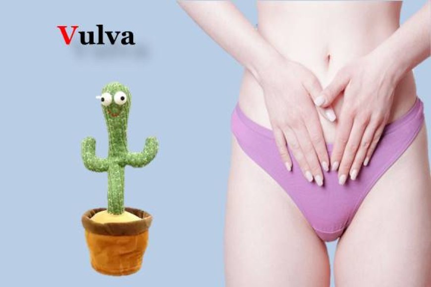 How to cure  itchy vulva at home?